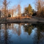 Ponds and glade