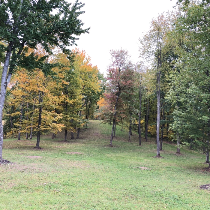 Lawn