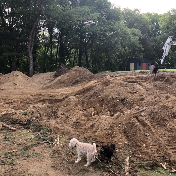 Land Clearing Georgetown