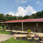 New Metal Roof