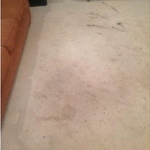 Carpet Cleaning