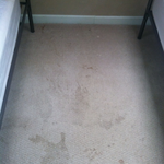 Carpet Cleaning