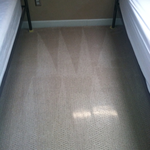Carpet Cleaning