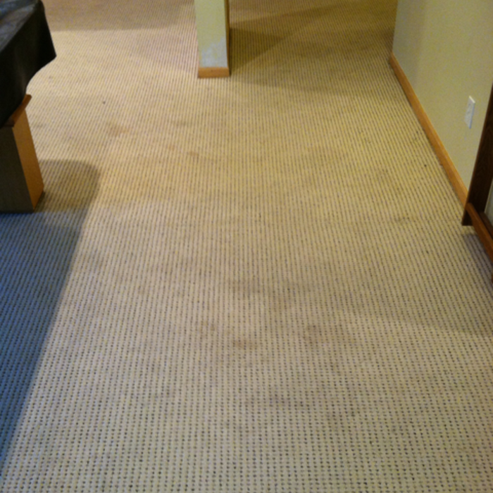 Carpet Cleaning