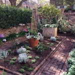 After cleanup and soil amendment