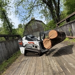 Tree removal