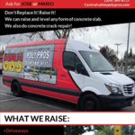 What we raise?