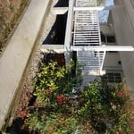 Back Porch Railings