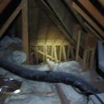 Attic inspection