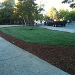 new sod and bark sprinkler system