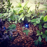Landscape lighting