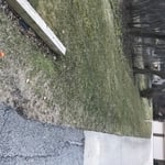 mow grass
