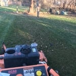 spring cleanup