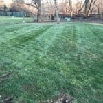 spring cleanup