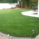 Doggy Friendly Fertilizing
