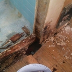 Bathroom shower Leaking