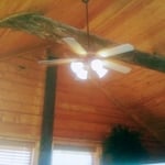 Interior box car and log beams