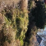 Landscape Maintenance - Toccoa, GA