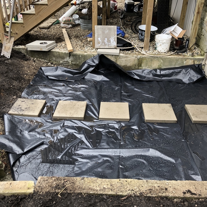 Back Door Steppingstones (Phase 3)