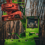 Tree service