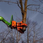Tree service