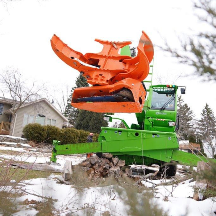 Tree service