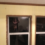 Previous owner got paint on all the trim