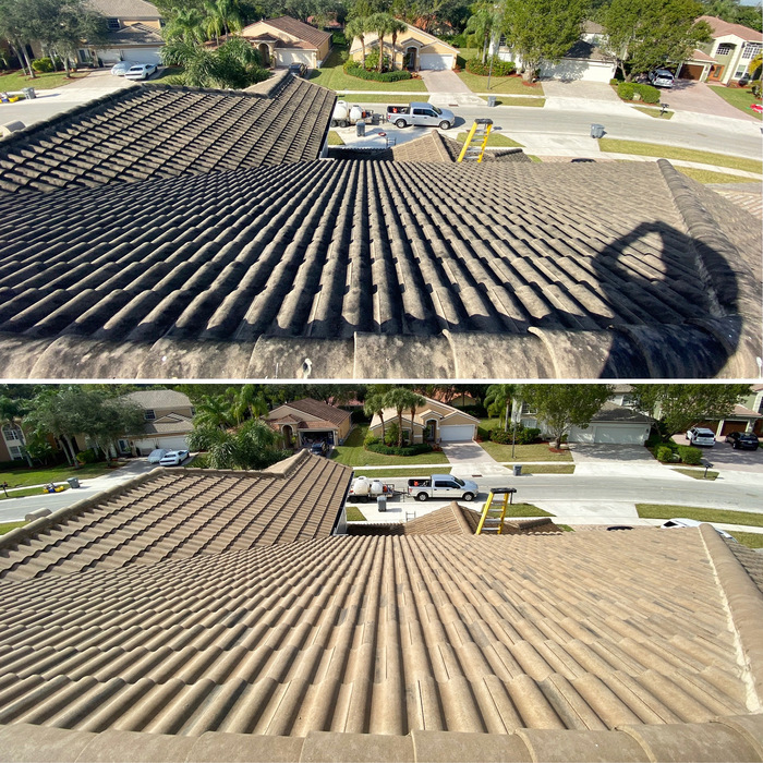 Roof soft wash