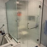 Shower door