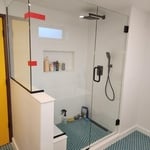 Shower door