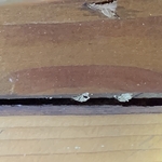 termite vent tube