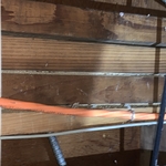 Termite evidence