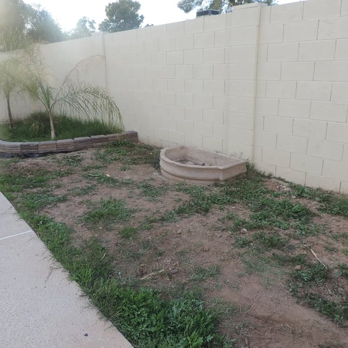 Water feature
