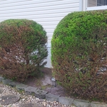 Trimming