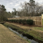 Hedge Trimming