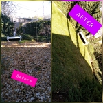 Beautiful Yard