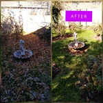 Leaf Removal