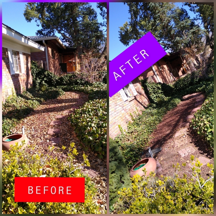 Leaf Removal