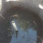 Septic Tank