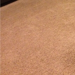 Carpet cleaning for