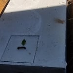Septic Tank