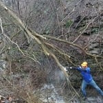 Me cutting up broken top in creek gully