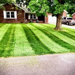Front Lawn