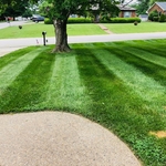 Lawn Mowing / Lawn Care