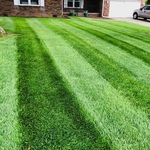 Lawn Mowing / Lawn Care