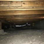mold remediation in crawlspace