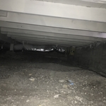 mold remediation