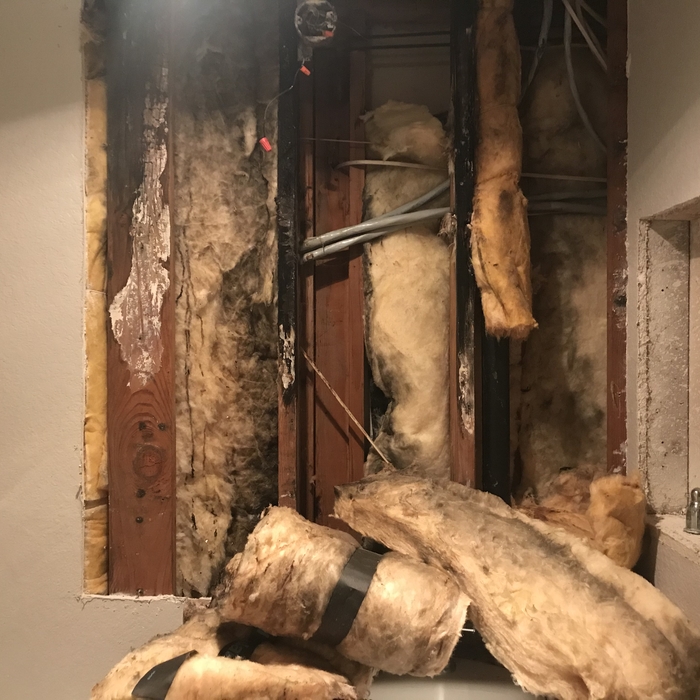 mold remediation