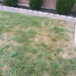 RETAINING WALL