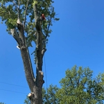 Rigging